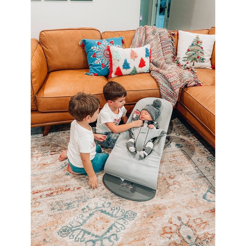 ​Fisher-Price Baby Bouncer