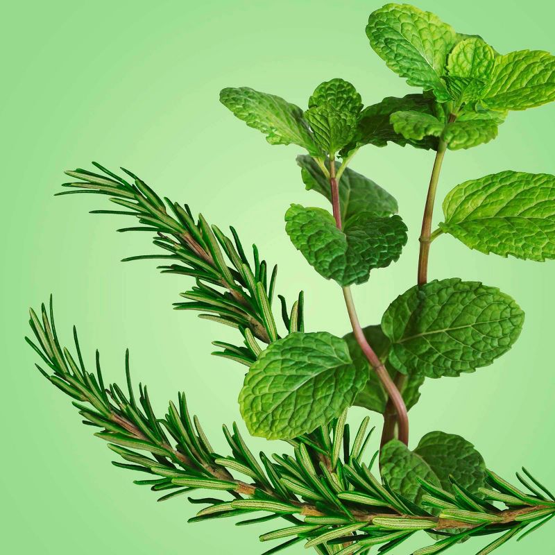 Sauve Professionals Invigorating Shampoo and Conditioner for Dry and Damaged Hair Rosemary and Mint 18 fl oz/2ct