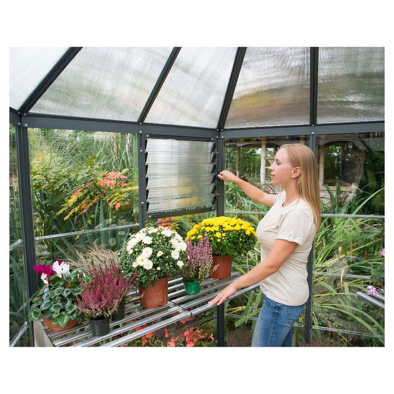 Oasis Hex Greenhouse Gray - Palram