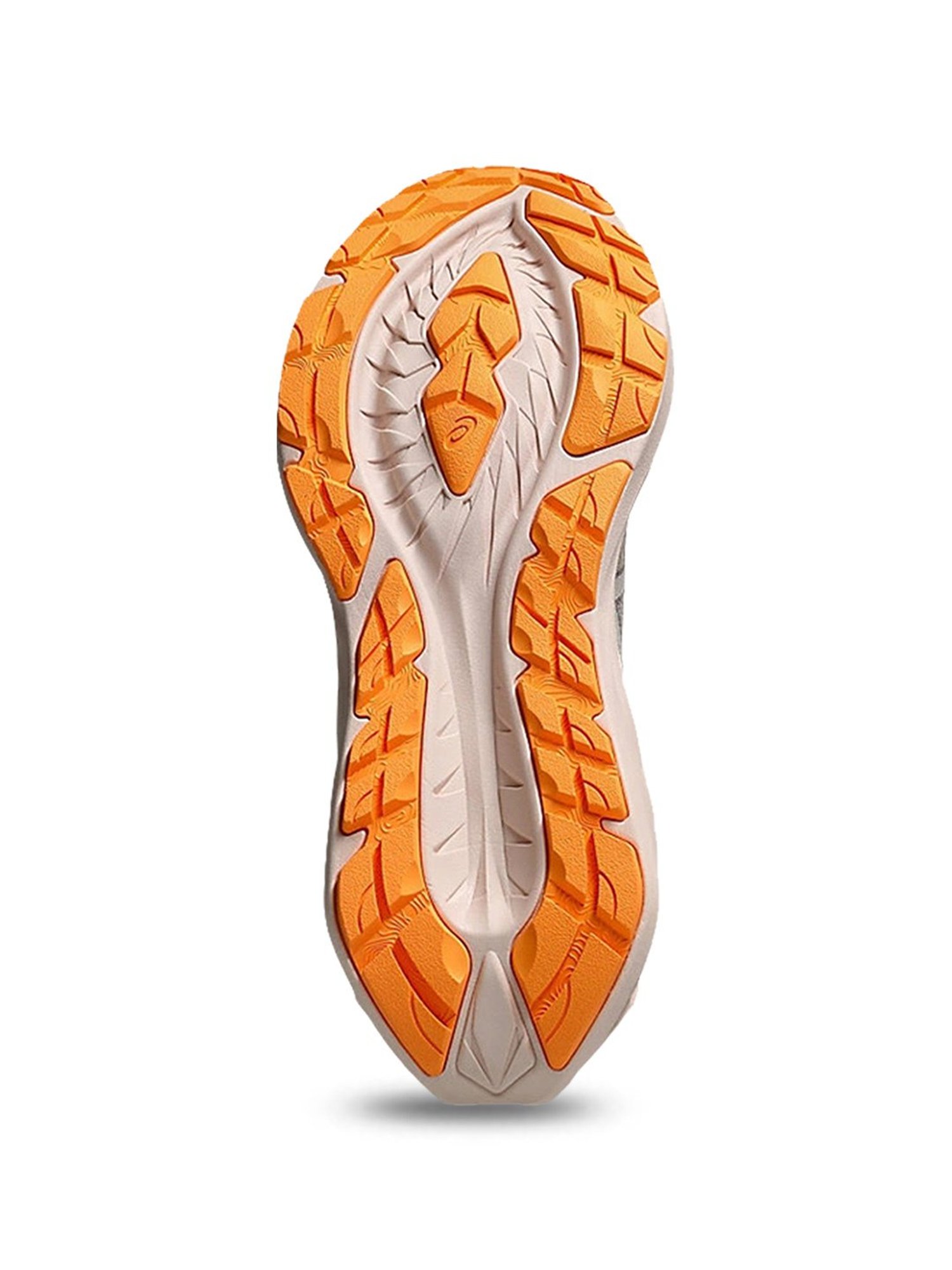 Asics Women's NOVABLAST 4 TR Ash Grey Running Shoes