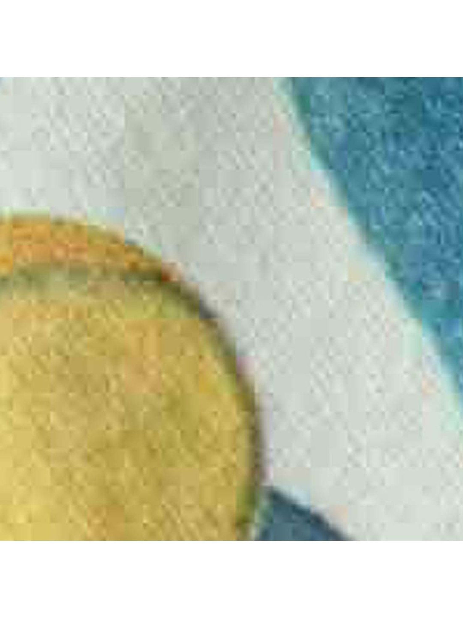 Ellementry Fresca Dish White & Blue Cotton Dish Towel - Set of 2