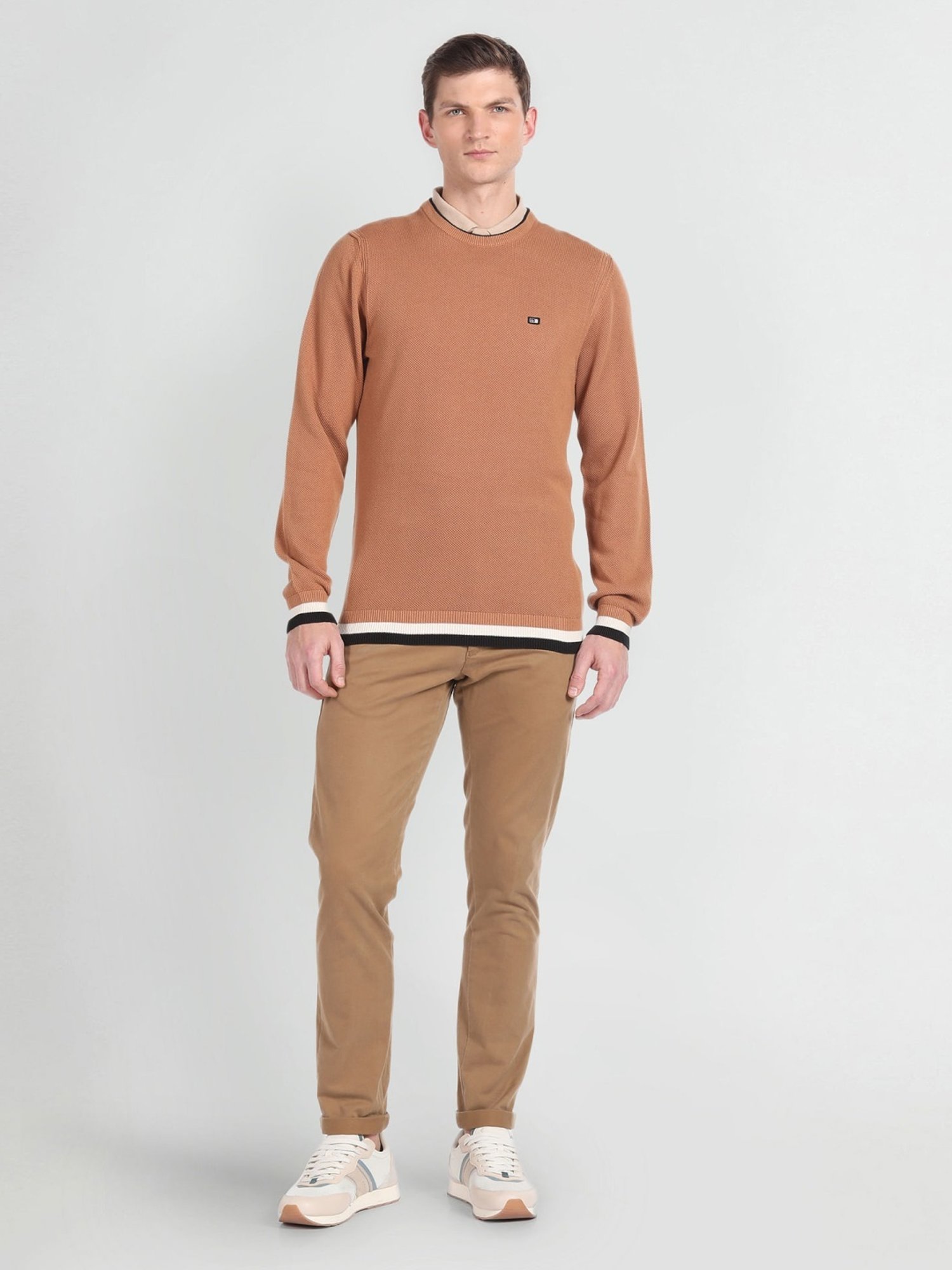 Arrow Sport Beige Regular Fit Self Pattern Sweater