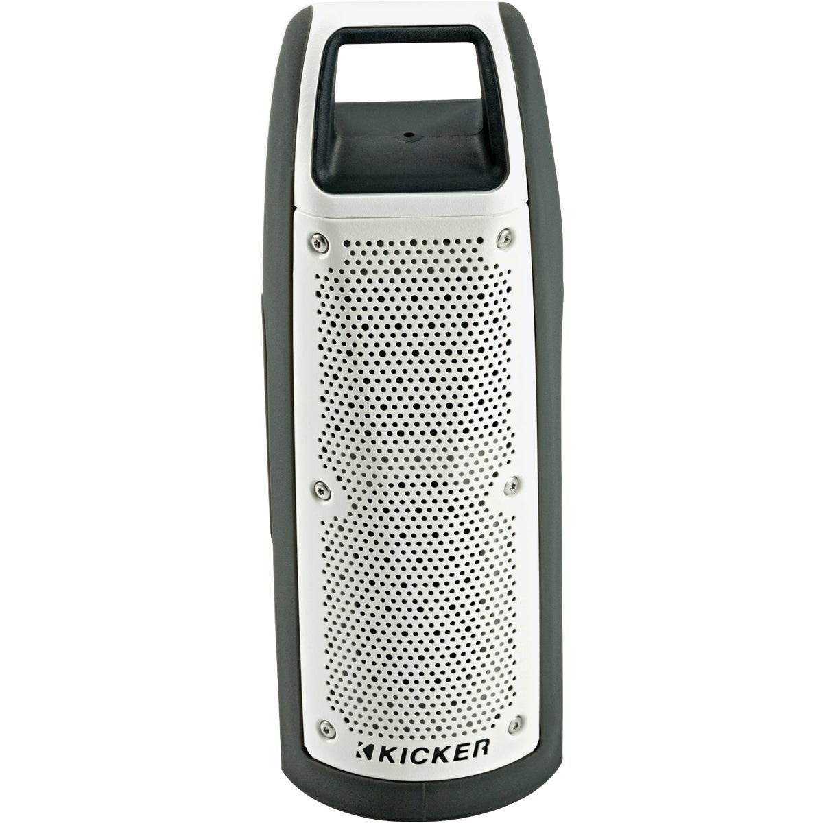 Bullfrog BF100 Bluetooth Gray Outdoor Wireless Speaker 44BF100GY