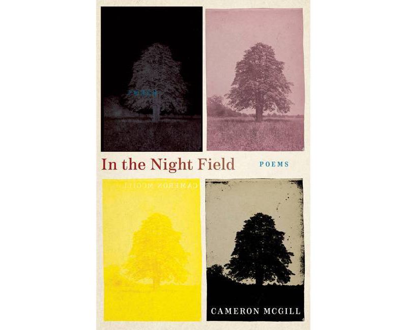 In the Night Field - by  Cameron McGill (Paperback)