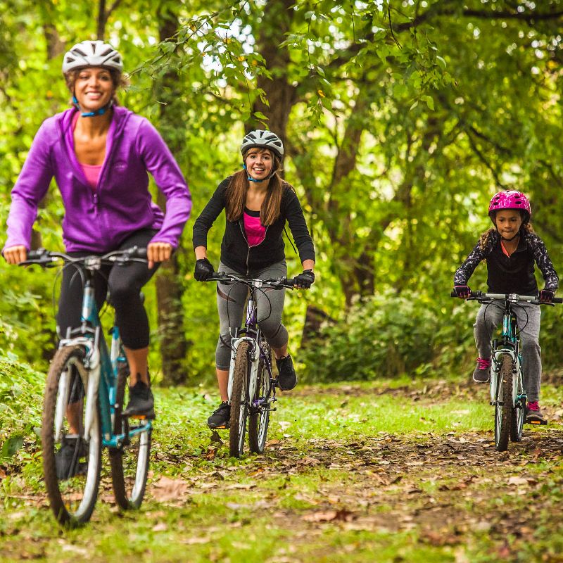 Huffy Women's Everett Electric Bike - Silver