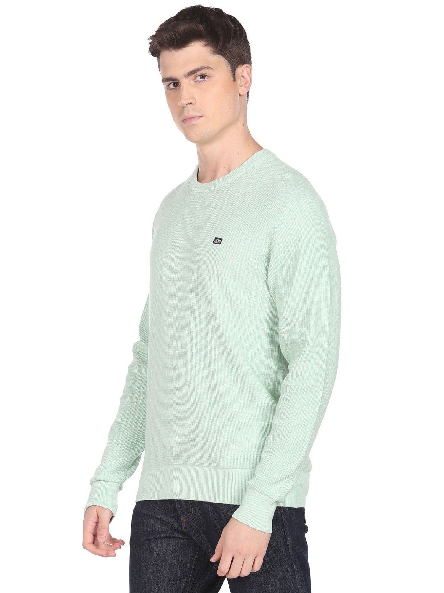 Arrow Sport Light Green Regular Fit Sweater