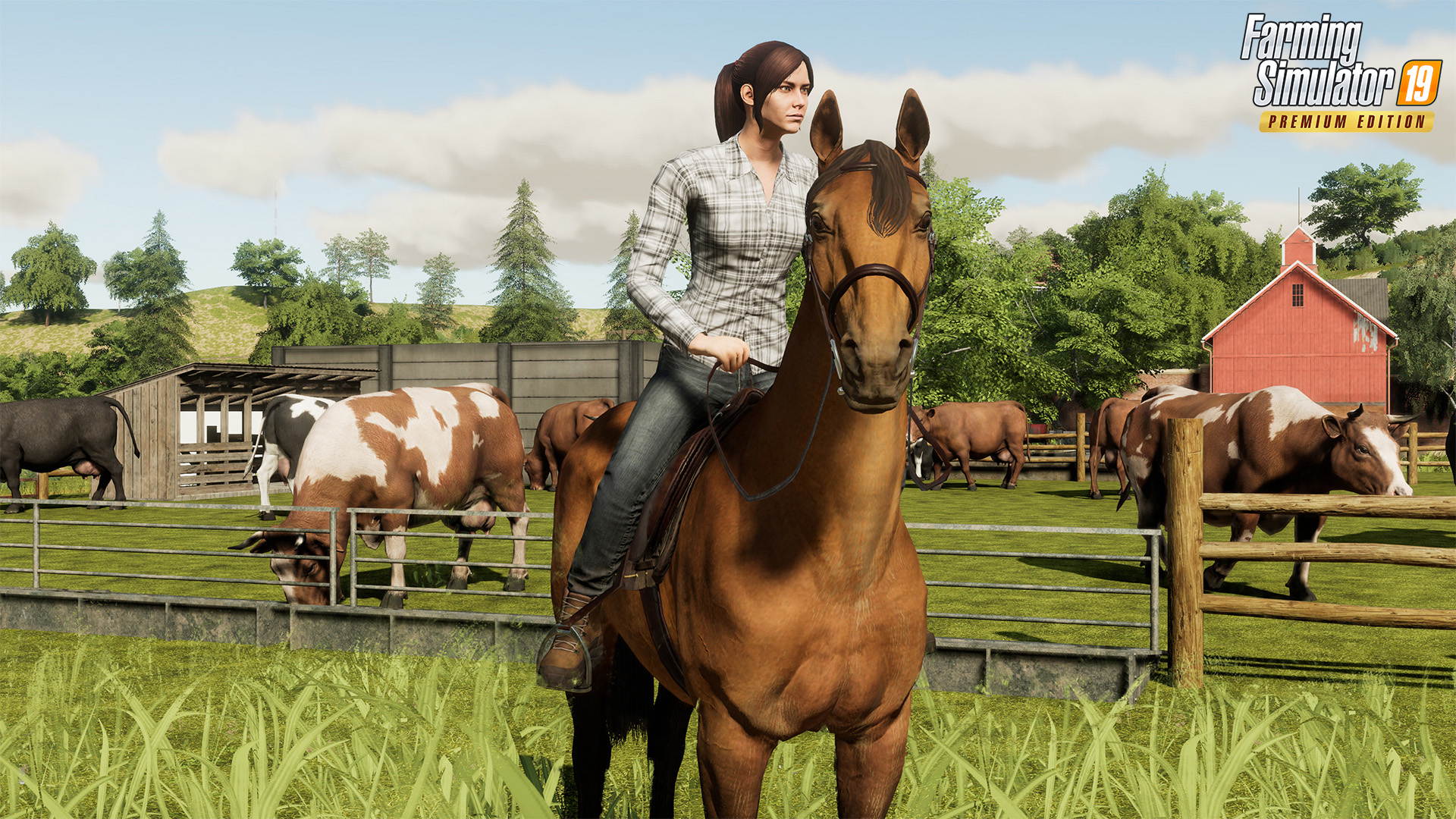 Farming Simulator 19 - Premium Edition  [Online Game Code]