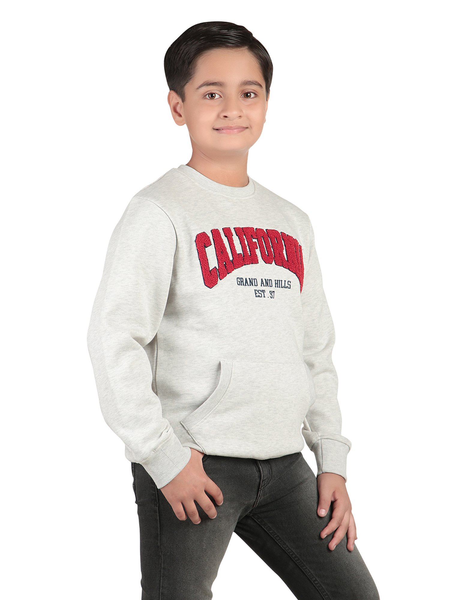 Bodycare Kids Grey Embroidered Full Sleeves Sweatshirt