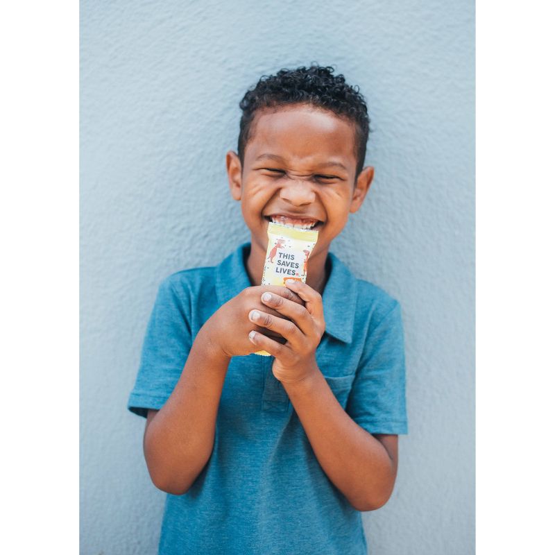 This Saves Lives Chocolate Chip Dino-Mite Snack Bars - 5ct