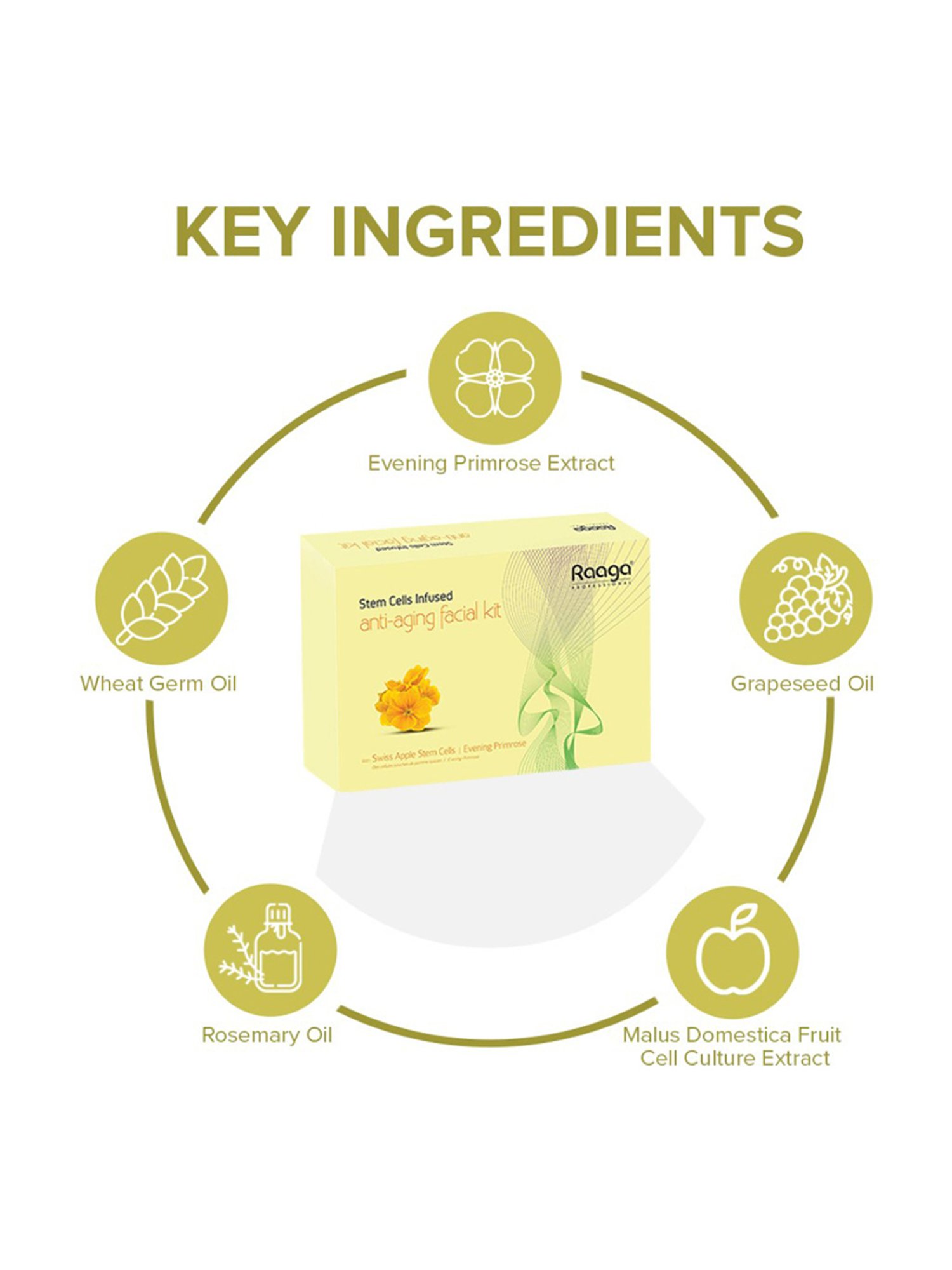 Raaga Professional Stem Cells Infused Anti-Aging Facial Kit