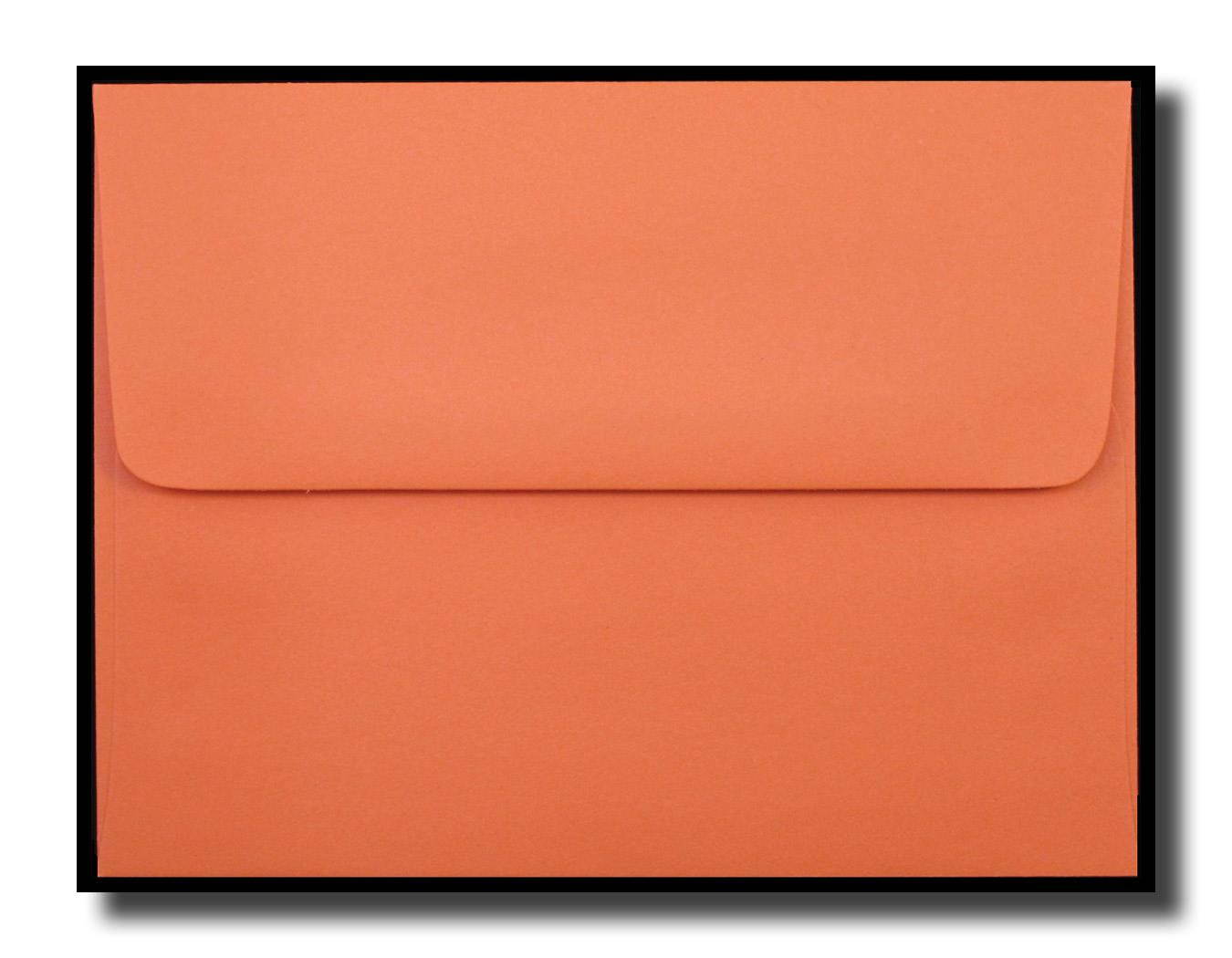 Thanksgiving Greeting Cards - Bountiful Basket - BB100. Business Greeting Card Featuring Puppies Next to Pumpkins and Apples. Box Set has 25 Greeting Cards and 26 Pumpkin Orange Colored Envelopes.