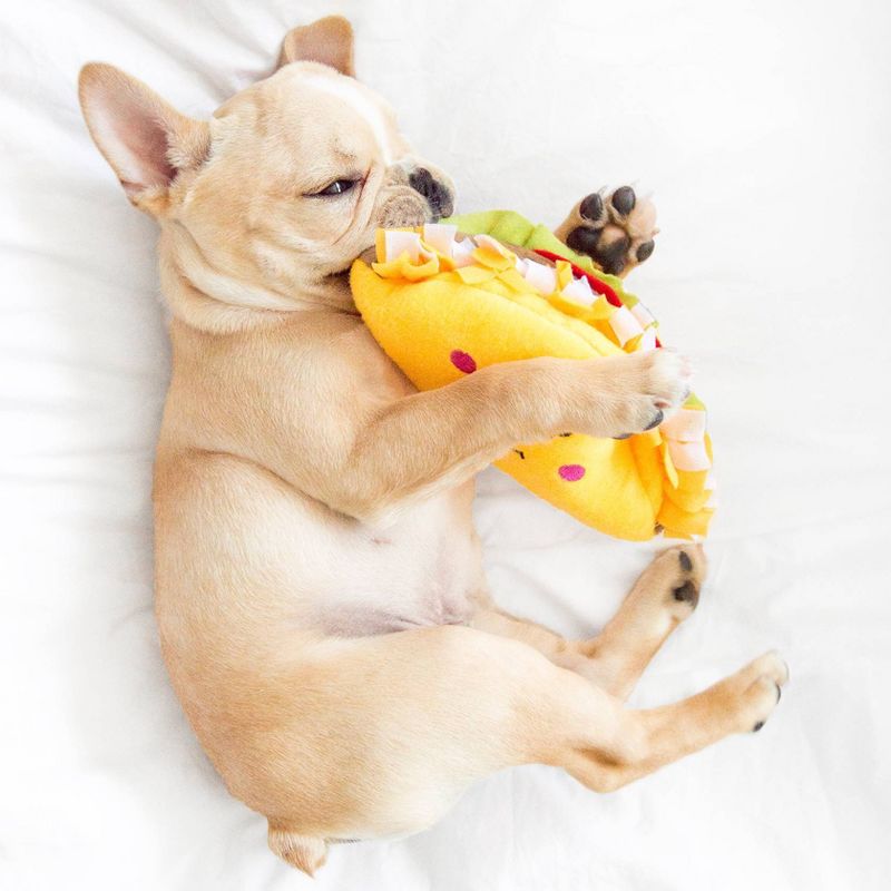 ZippyPaws NomNomz Taco Dog Toy