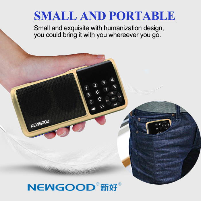 NEWGOOD Portable Speaker Super Bass with USB/TF/3.5mm AUX/FM Radio hifi digital audio player with Two micro SD card slot and LED flashlight (golden)