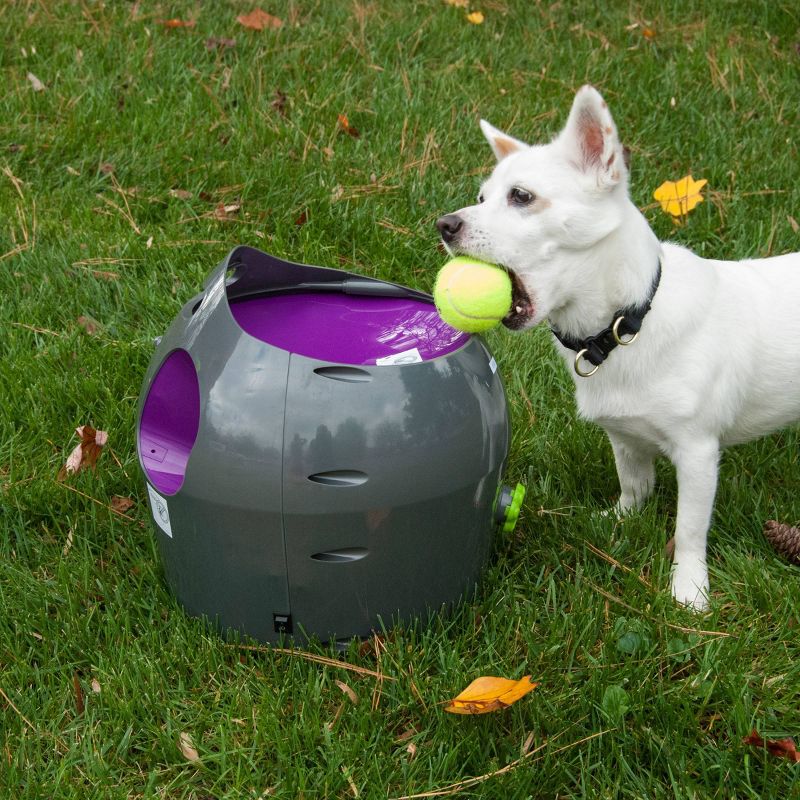 PetSafe Automatic Ball Launcher - Gray