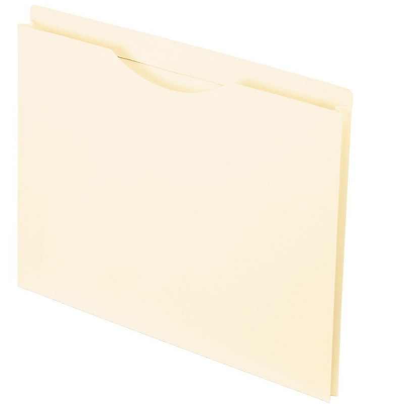 Staples Expanding File Pockets 5.25" Exp. Straight Tab Lgl Br 10/BX TR704432/704432