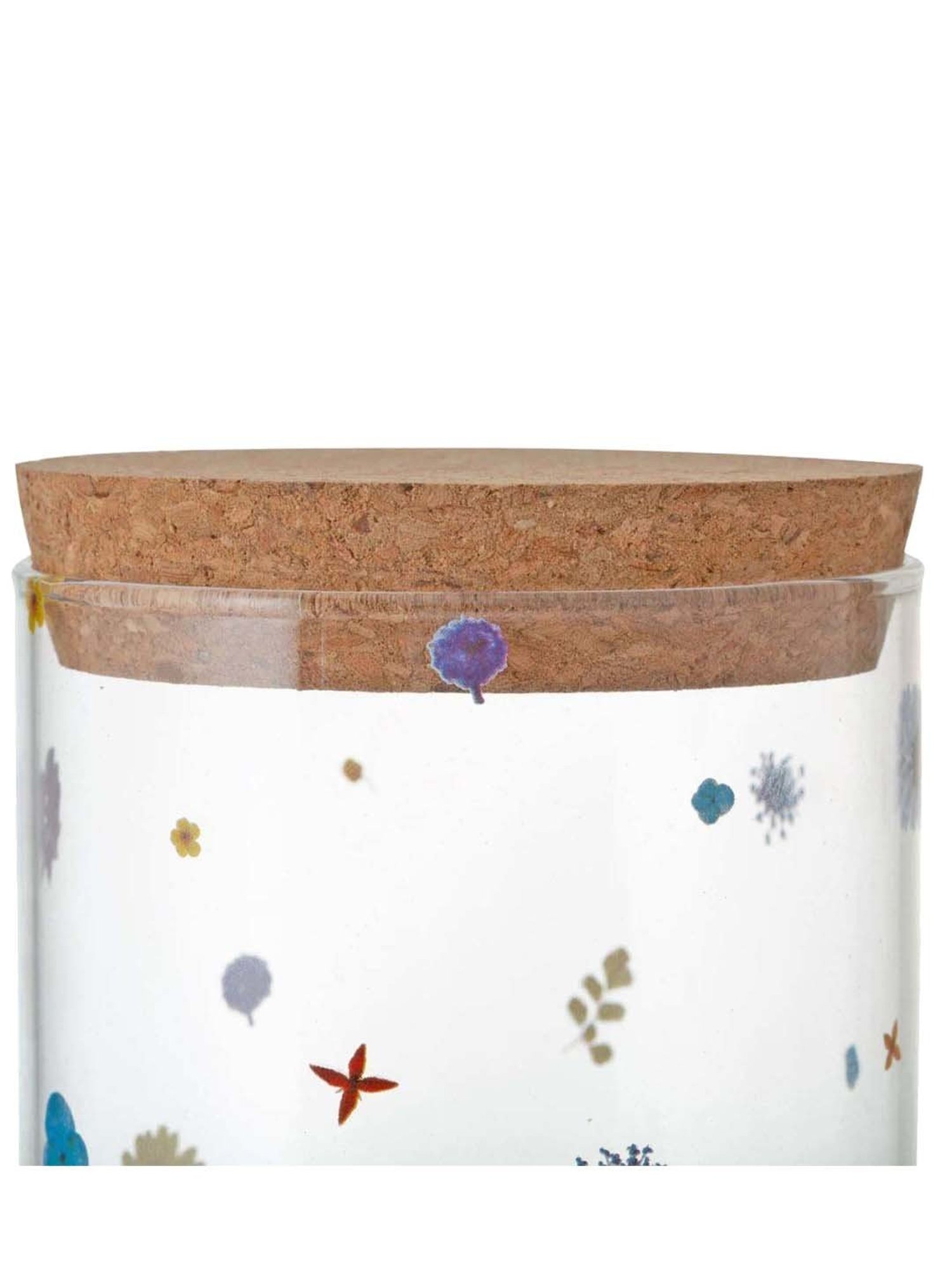 Typhoon Botanics Multicolor Glass Large Storage Container (1.1 L)