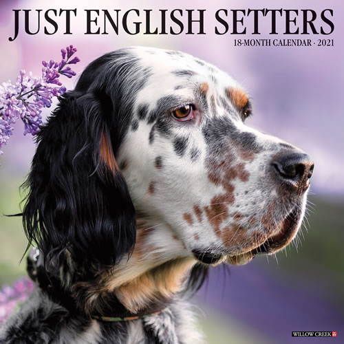 2021 English Setters Wall