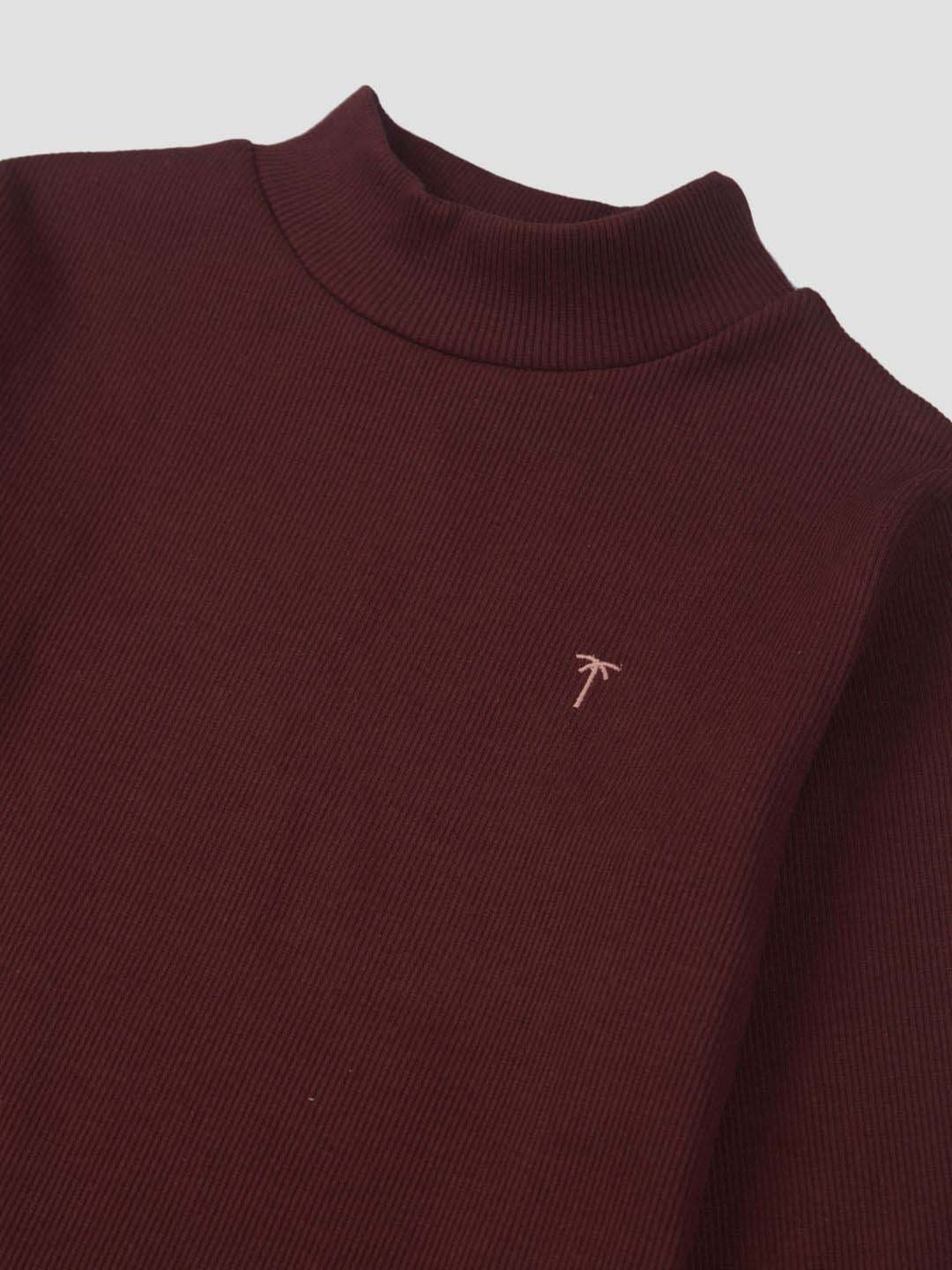 Palm Tree Kids Maroon Cotton Regular Fit Full Sleeves Skivvy