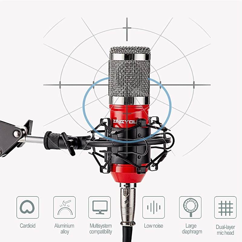 Condenser Microphone Bundle, BM-800 PC Microphone Professional Cardioid Studio Mic Set with Mic Suspension Scissor Arm, Shock Mount and Pop Filter for Studio Recording & Broadcasting (Aurora R