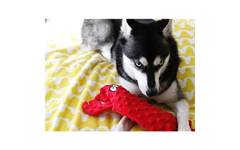 ZippyPaws - Bottle Crusherz, No Stuffing Dog Toy with Reusable Squeaker - Use Empty Water Bottles for Crunchy Chew Toys - Lobster
