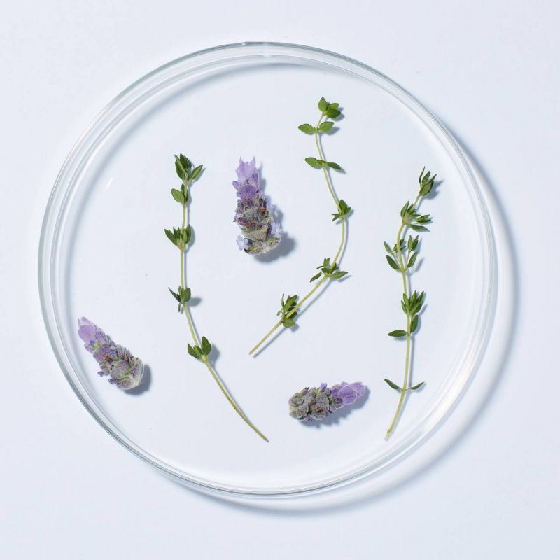 Andalou Naturals Lavender Thyme Refreshing Body Lotion - 8 Oz