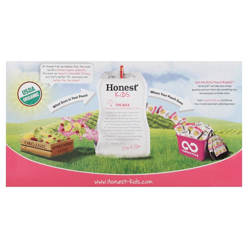 Tropicana Pure Premium No Pulp Orange Juice - 52 fl oz