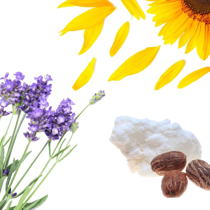 Babo SPF 15 Lip Tint Conditioner - Crimson Rose - .15oz