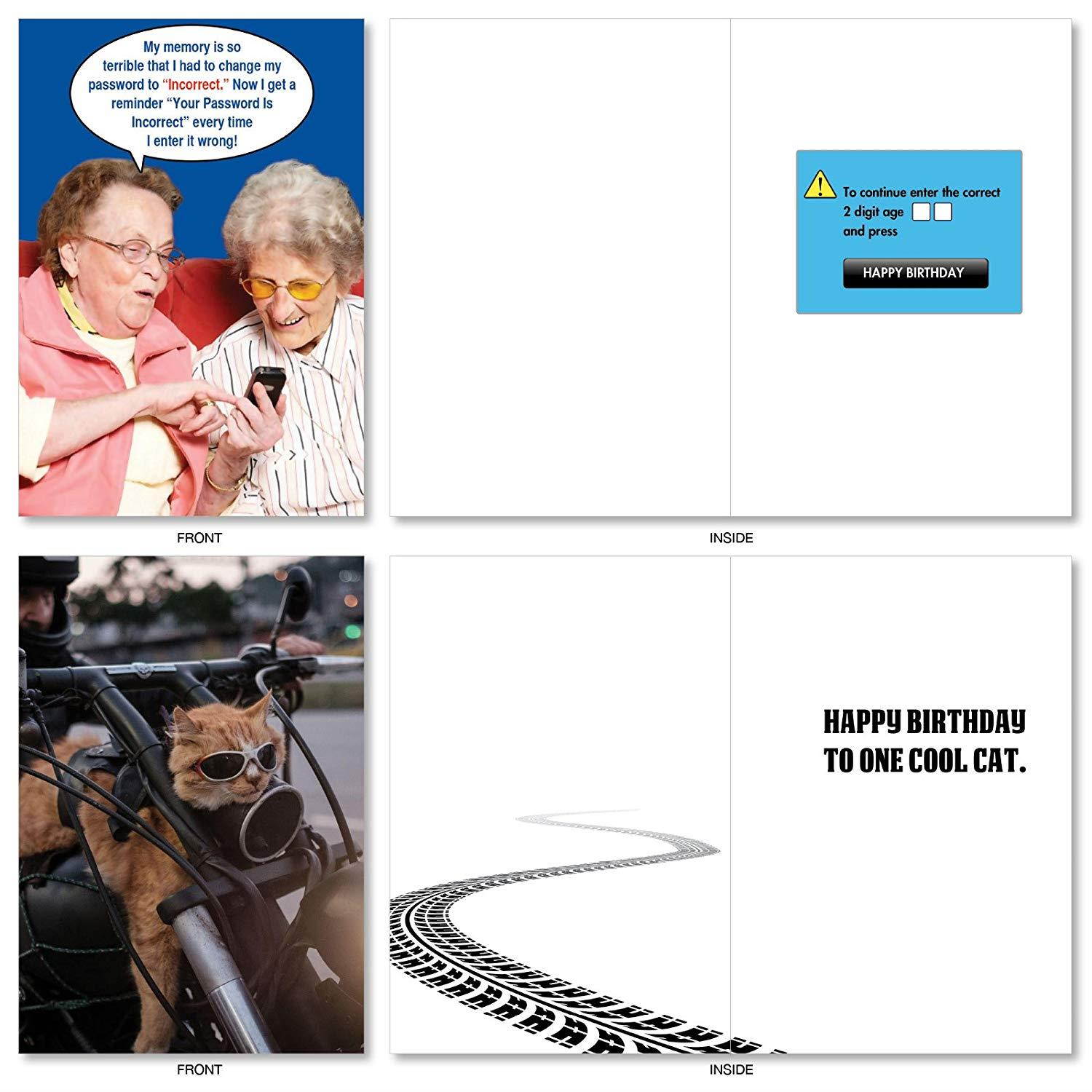 A Very Funny Birthday: Assorted Box of 20 Hysterical Birthday Cards Featuring the Absolute Best Humor Cards Ever, of All Time, Envelopes - Adult Humor (10 Designs, 2 Cards Per Design) AC5979BDG-B2x10