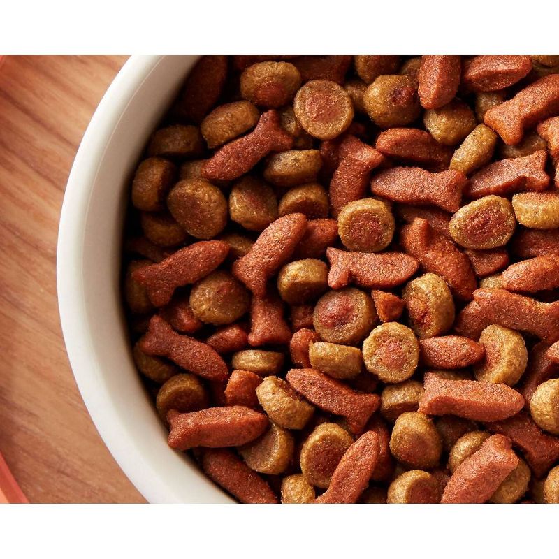 Rachael Ray Nutrish Tasty Salmon and Veggies Recipe Dry Cat Food - 12lbs