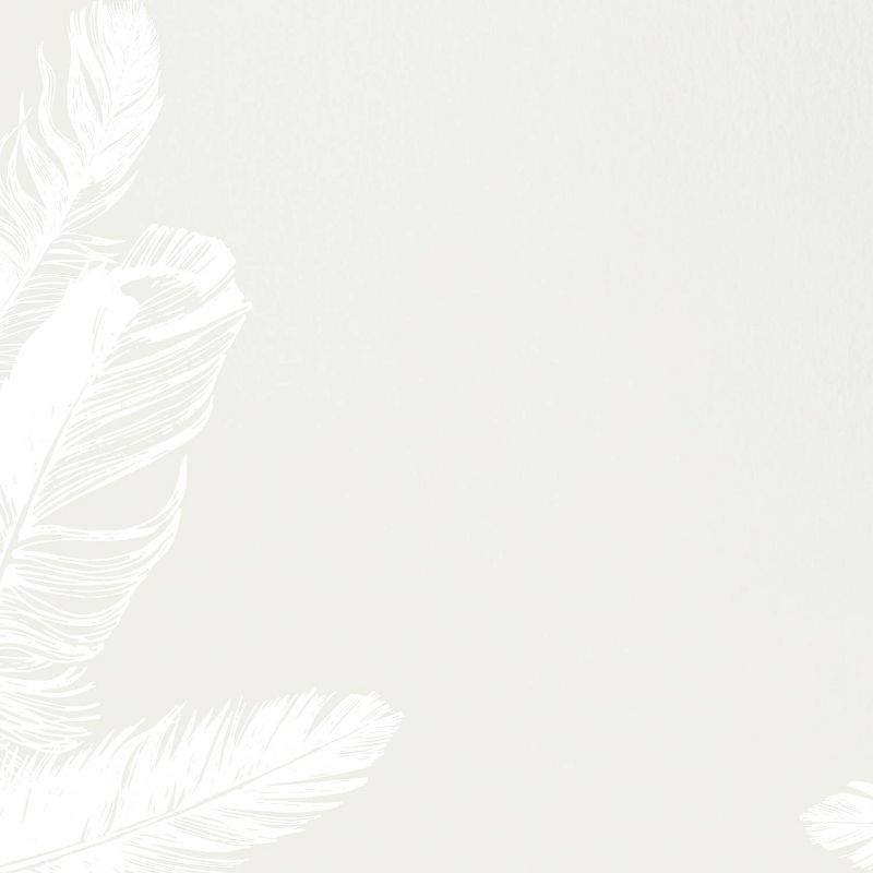 80ct Soft Feathers Letterhead Gray