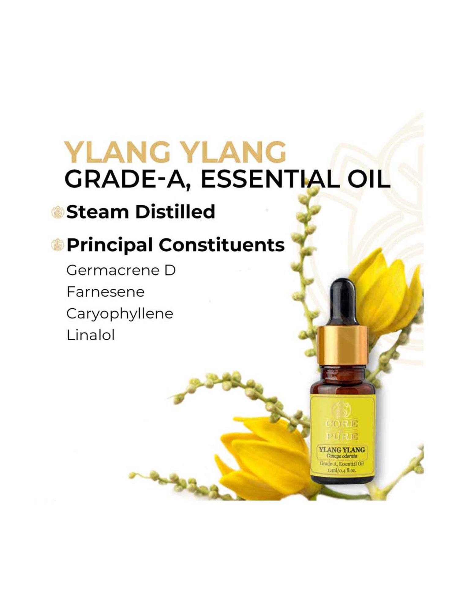 CORE & PURE Ylang Ylang Essential Oil - 12 ml