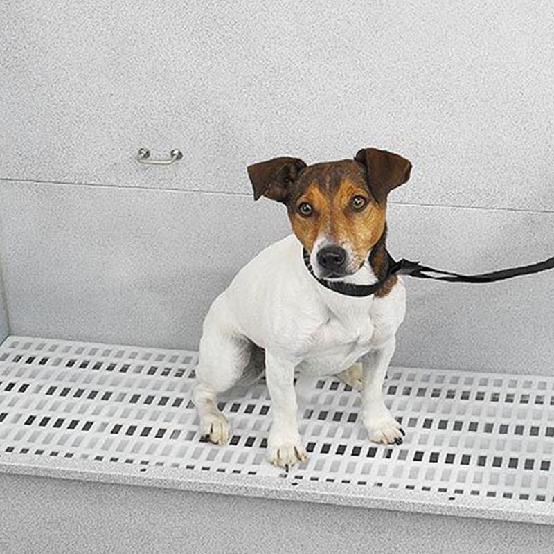 Master Equipment TP88944 Professional Grade Raised Bath and Grooming Tub Rack for Pets with Sturdy Metal Base Non Slip Rubber Plastic Grate, White