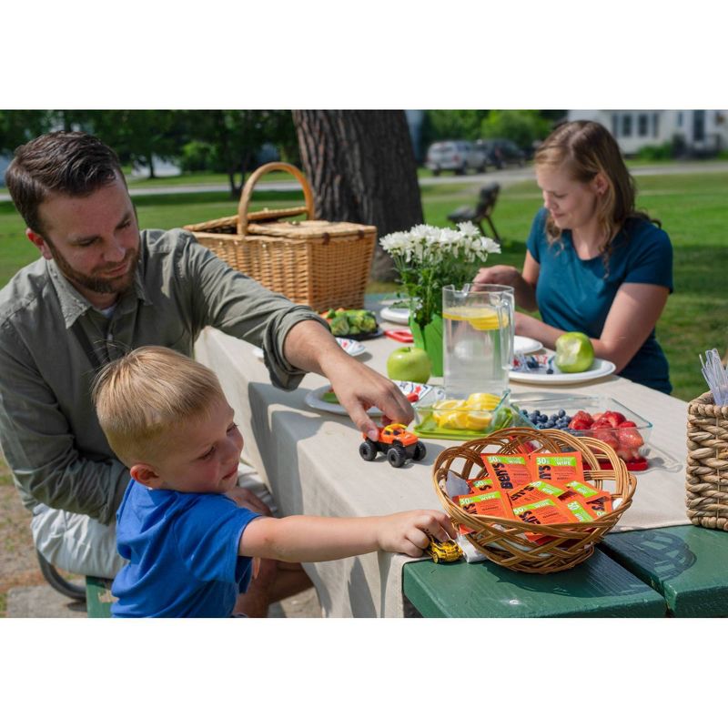 Ben's 30 Deet Wipes - 12ct