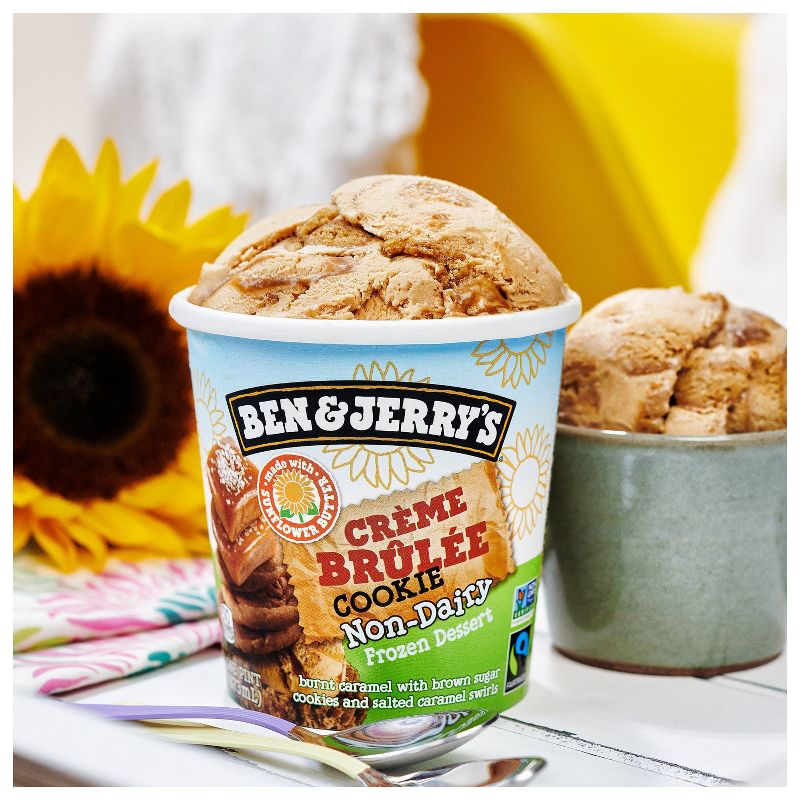 Ben & Jerry's Non Dairy Ice Cream Cream Brulee - 16oz