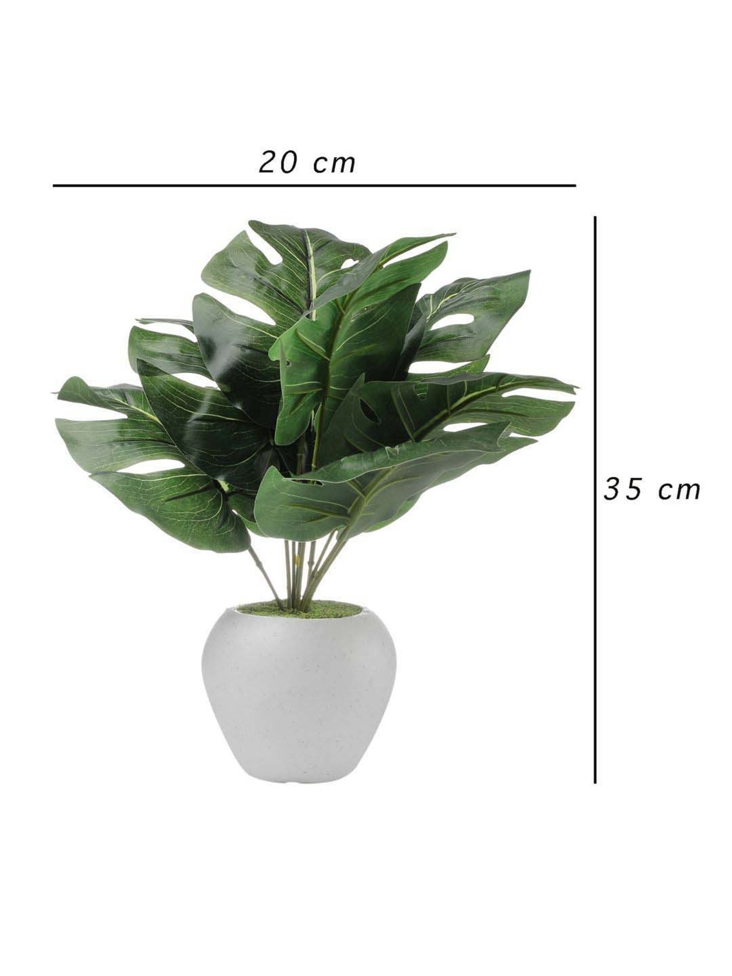 Foliyaj Multicolor Plastic Artificial Monstera Plant With Apple Shaped Pot