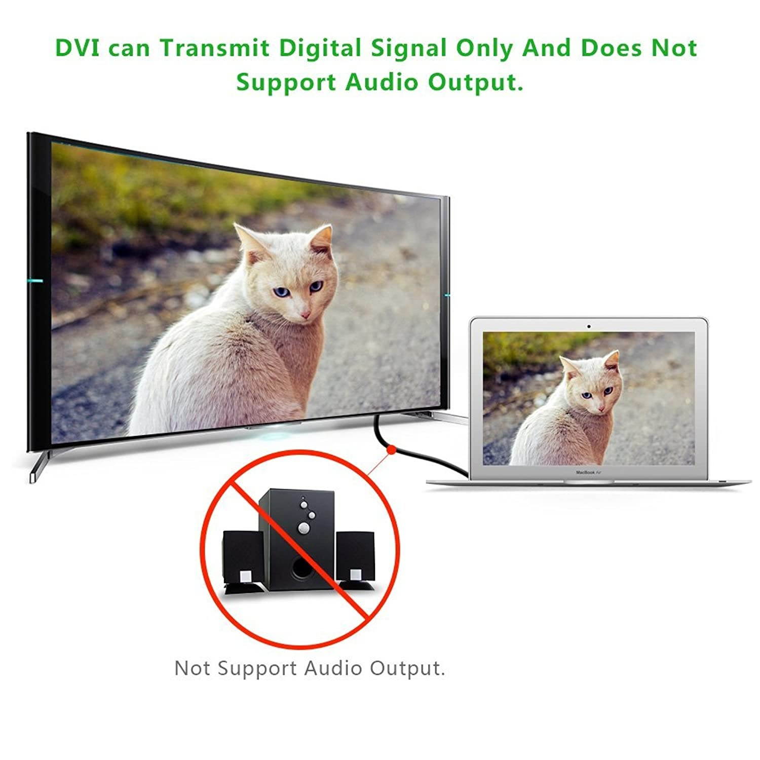 UGREEN DVI-D 24+1 Dual Link Male to Male Digital Video Cable Gold Plated with Ferrite Core Support 2560x1600 for Gaming, DVD, Laptop, HDTV and Projector (6FT)