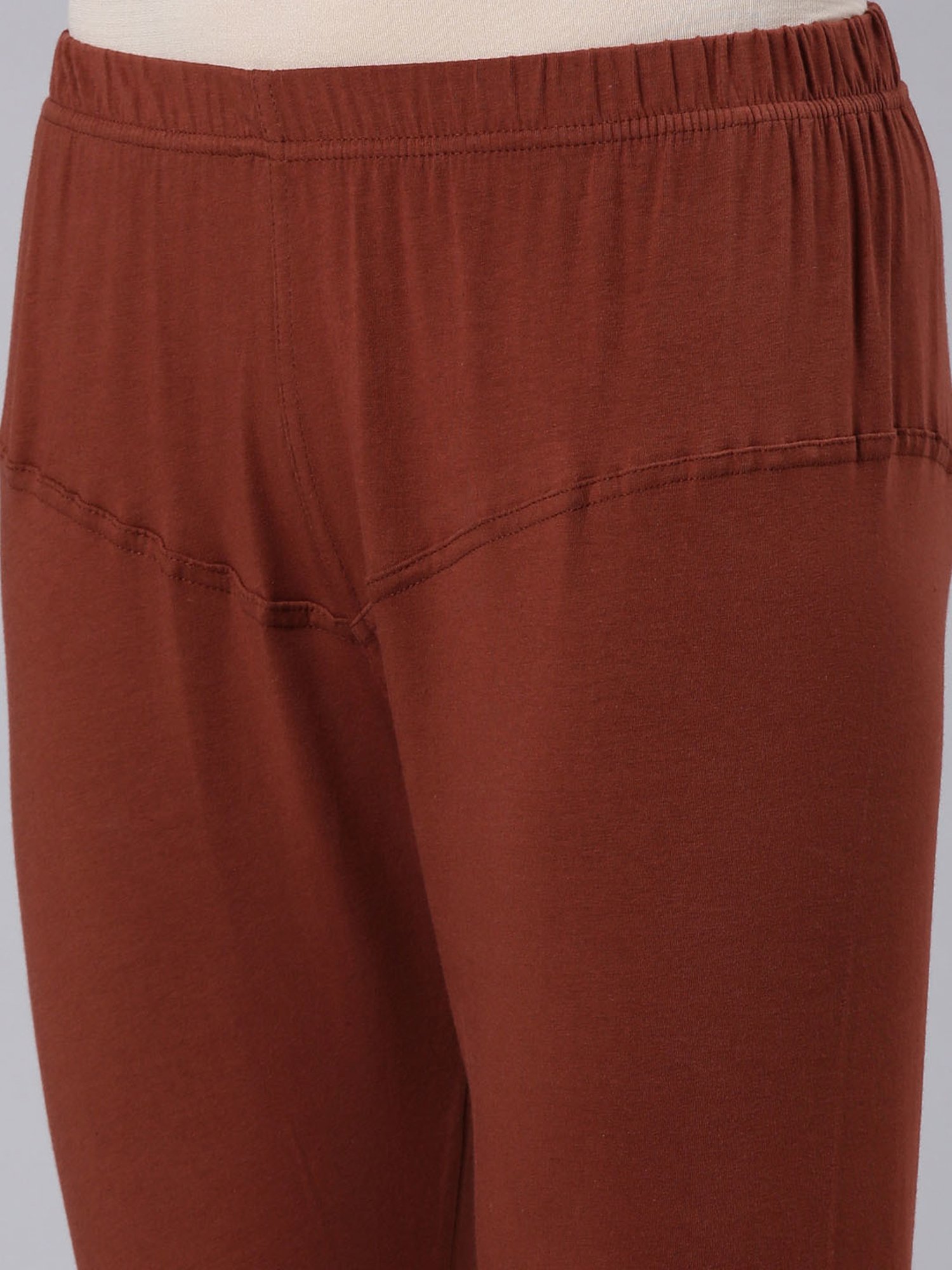 Dixcy Slimz Brown Leggings