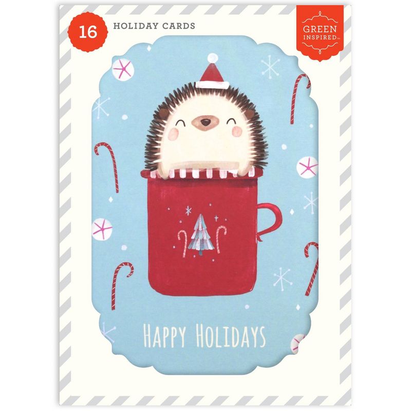 Green Inspired Hedgehog Boxed Cards 16ct