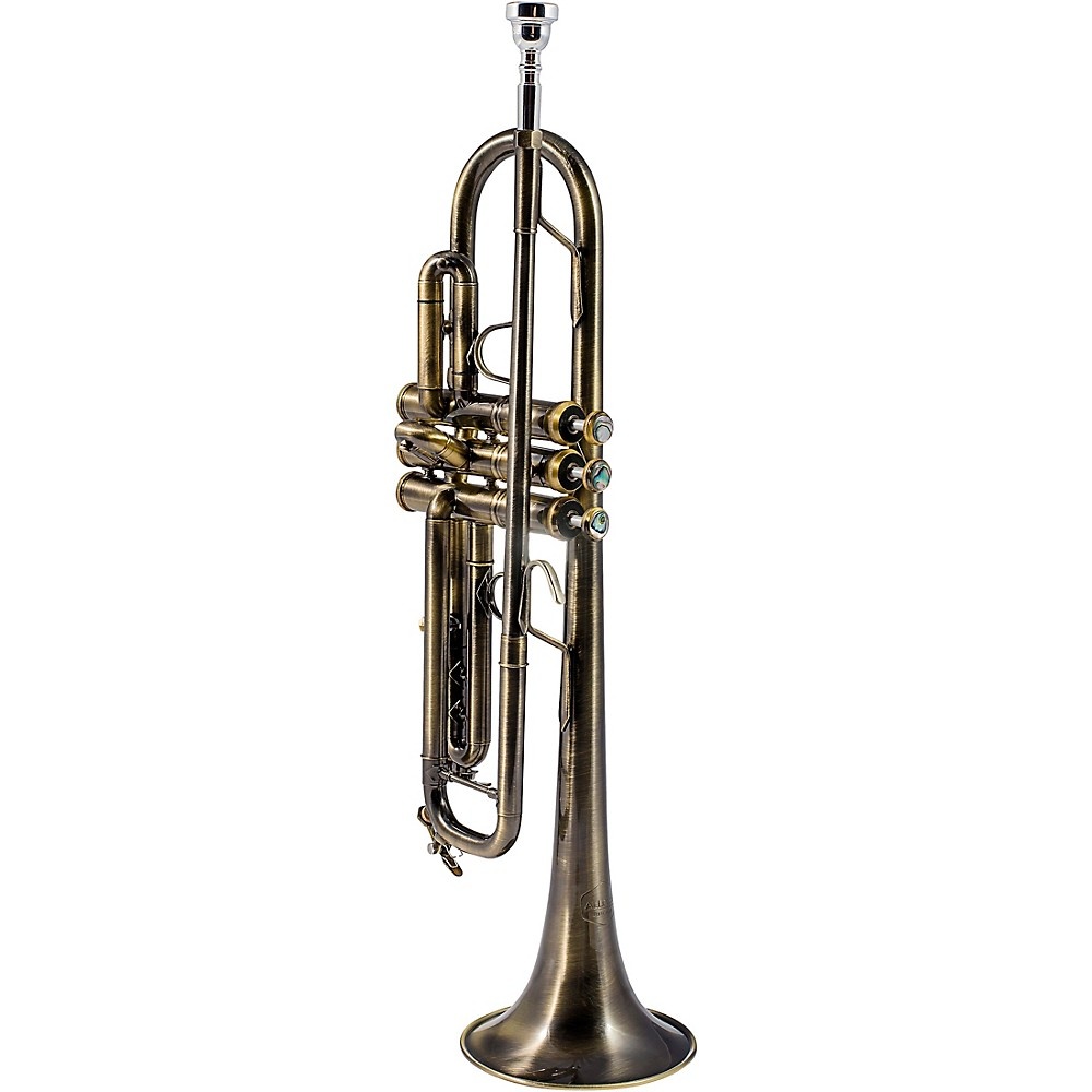Allora ATR-580 Chicago Series Professional Bb Trumpet Matte Lacquer