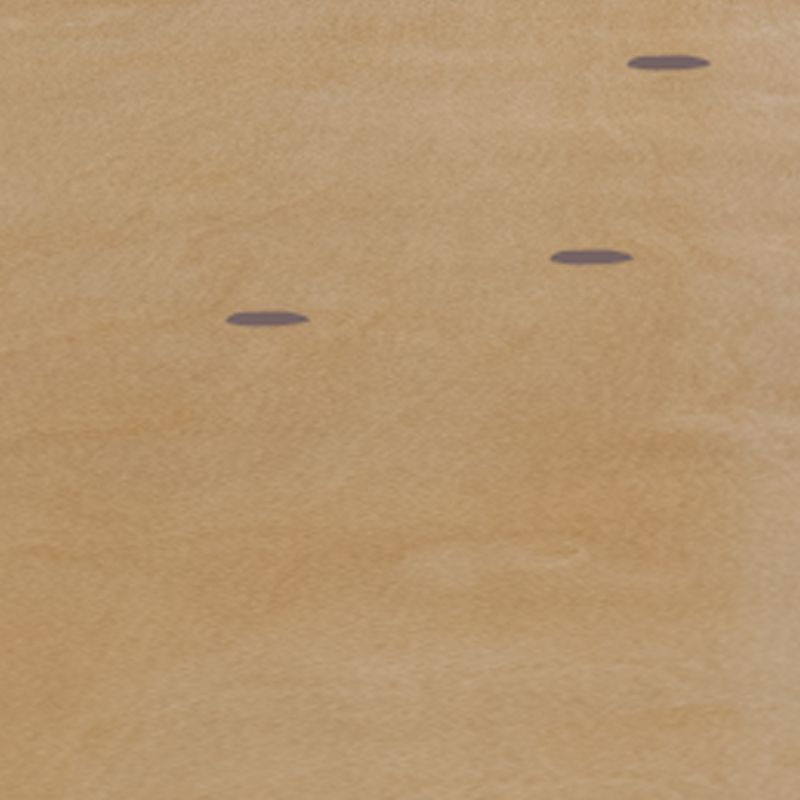 Emma and Oliver 4-Foot Round HEAVY DUTY Birchwood Folding Banquet Table with METAL Edges