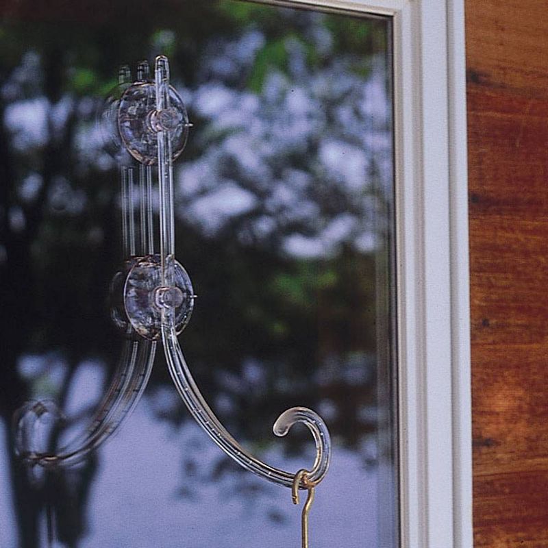 Birds Choice The Great Hangup