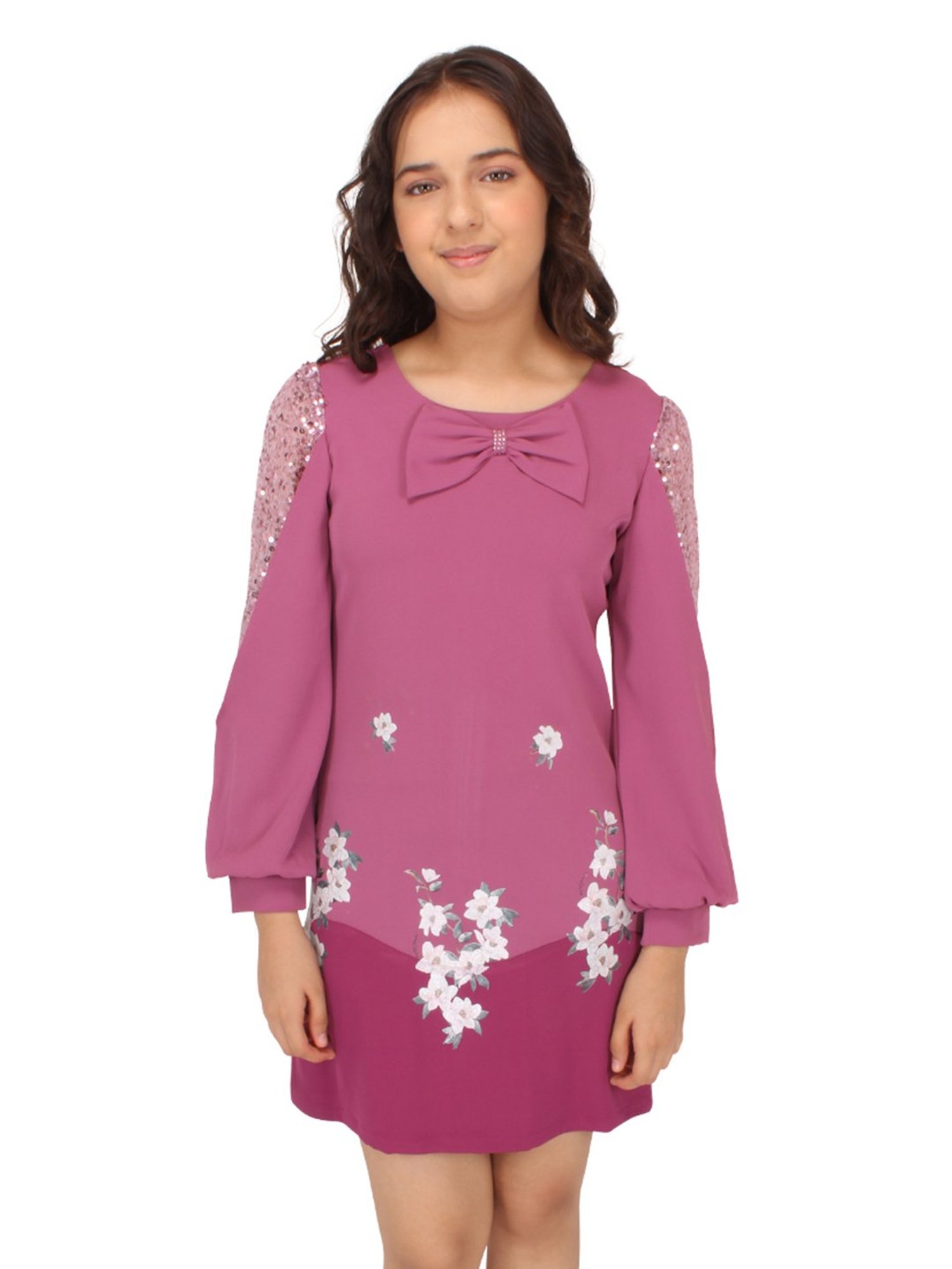 Cutecumber Kids Purple Embroidered Full Sleeves Dress