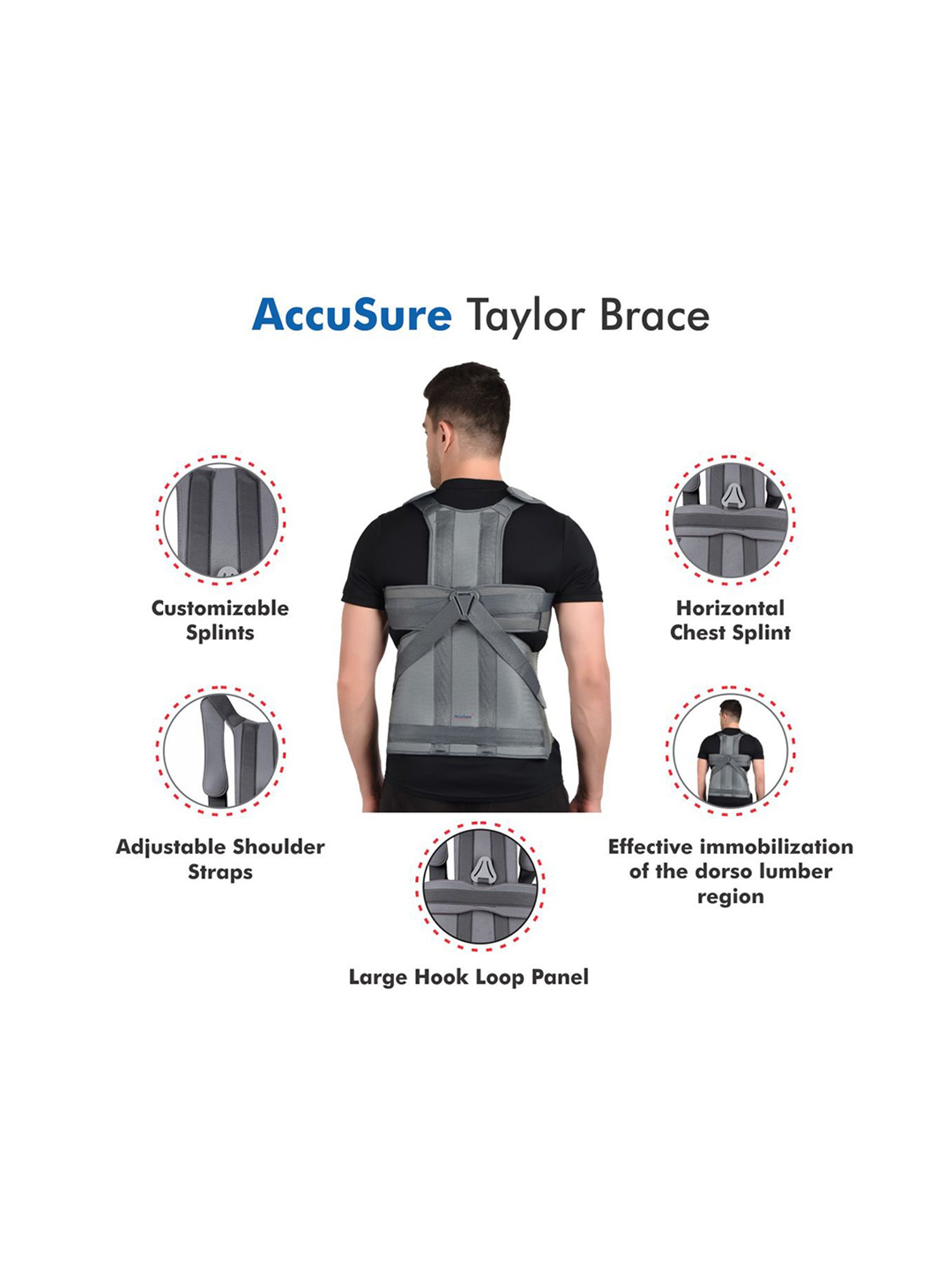 AccuSure Posture Corrector Taylor Brace - Rec Size (XL/XXL) For Ht:4.6-5.6 Ft Waist:40-48 in (Grey)