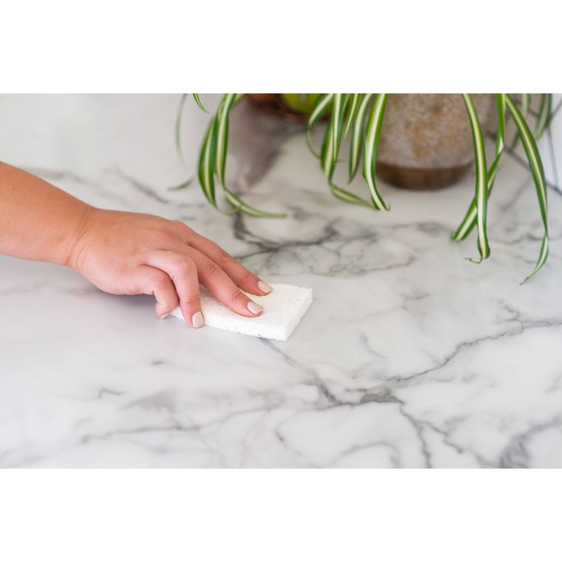 Full Circle Plain Jane Sponge - 3pk