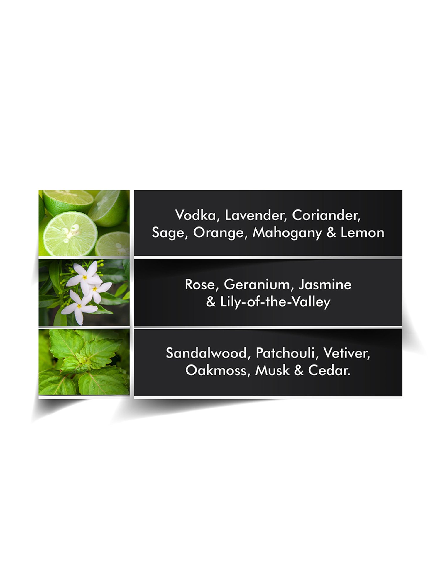 Emanuel Ungaro Pour L' Homme III Eau de Toilette - 100 ml