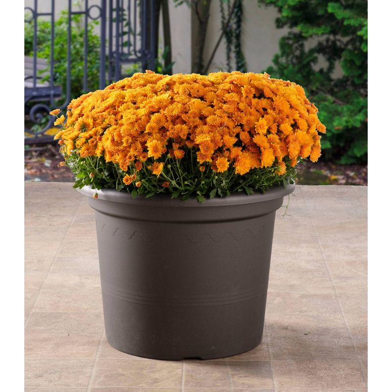 11.75" x 15.5" Indoor/Outdoor Resin Geo Planter Black - Alfresco Home LLC