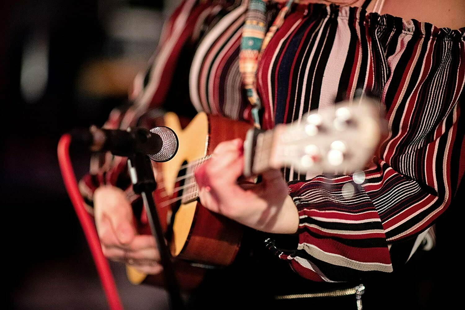 Beyerdynamic M160 Double Ribbon Hypercardioid Microphone for all Instrumental