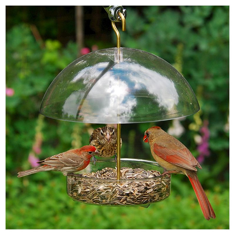 Droll Yankees Seed Saver Bird Feeder - Clear