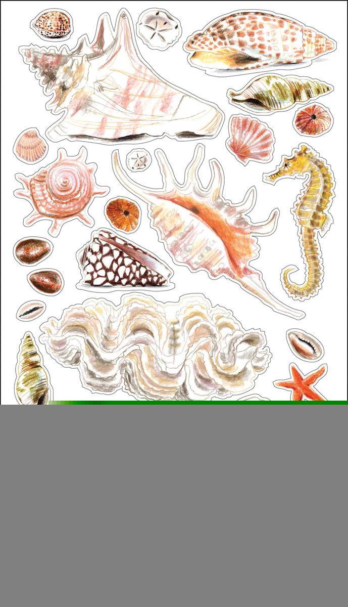 Sticko 58 Stickers-Sea Shells and Sand