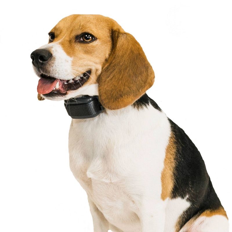 Premier Pet Bark Collar - Black